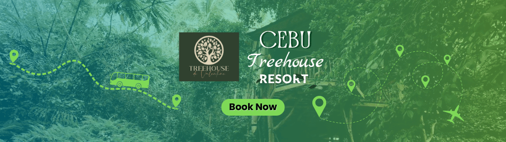 Treehouse de Valentine in Balamban Cebu
